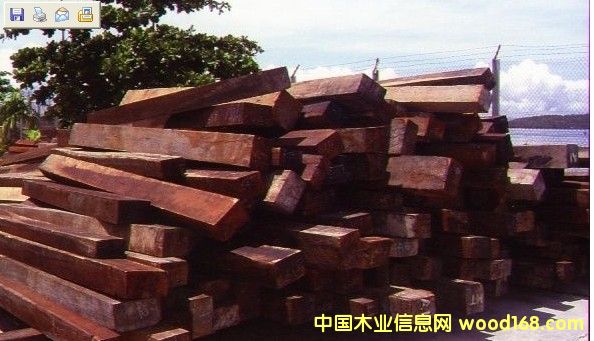 菠蘿格的詳細(xì)介紹