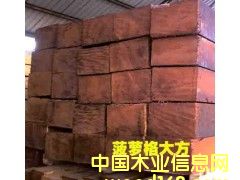 哪里買的菠蘿格木便宜